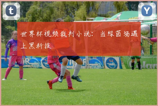 世界杯视频裁判小说:当绿茵场遇上黑科技