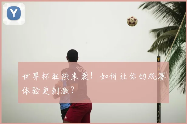 世界杯狂热来袭!如何让你的观赛体验更刺激?