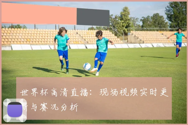 世界杯高清直播:现场视频实时更新与赛况分析